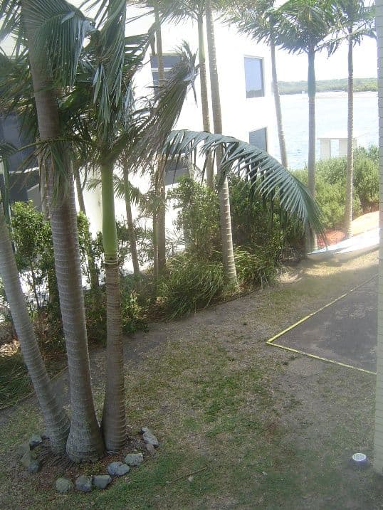 150 Duporth Avenue, MAROOCHYDORE QLD 4558, Maroochydore - Thumbnail 7
