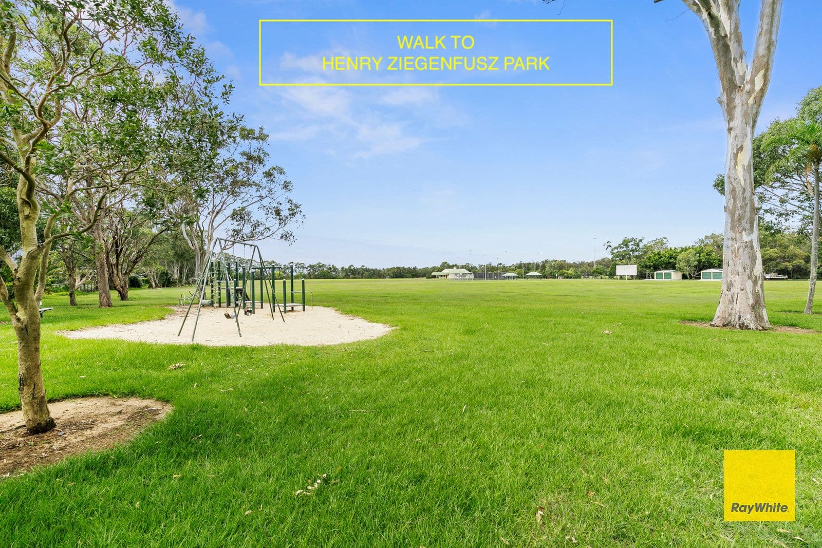 17 Tarcutta Street, Cleveland QLD 4163, Cleveland - Thumbnail 4