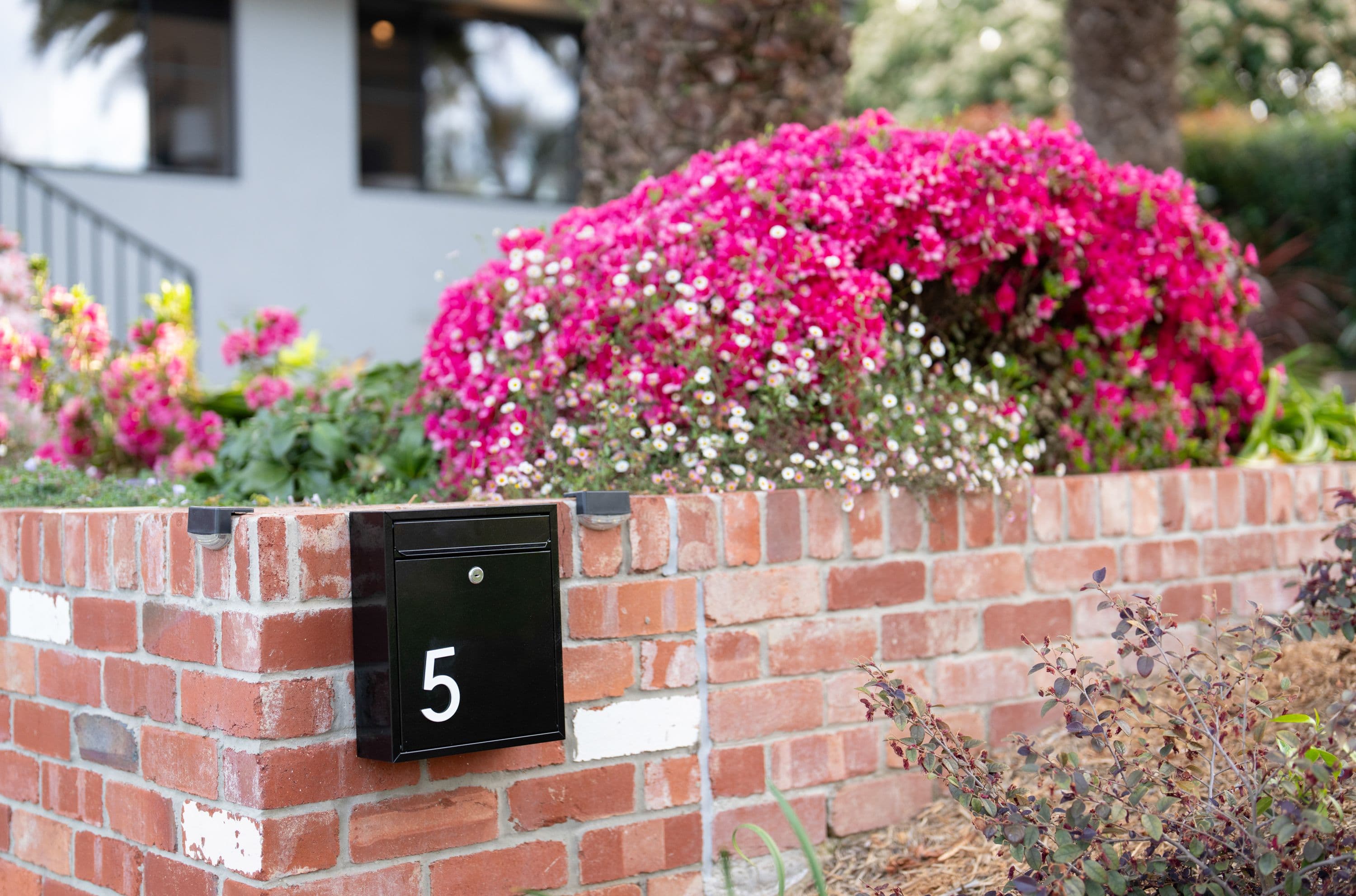 5 Bathurst Place, Macquarie ACT 2614, Macquarie - Thumbnail 3