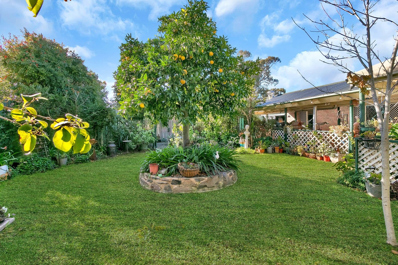 7 Lindsay Court, Lyndoch SA 5351, Lyndoch - Thumbnail 3