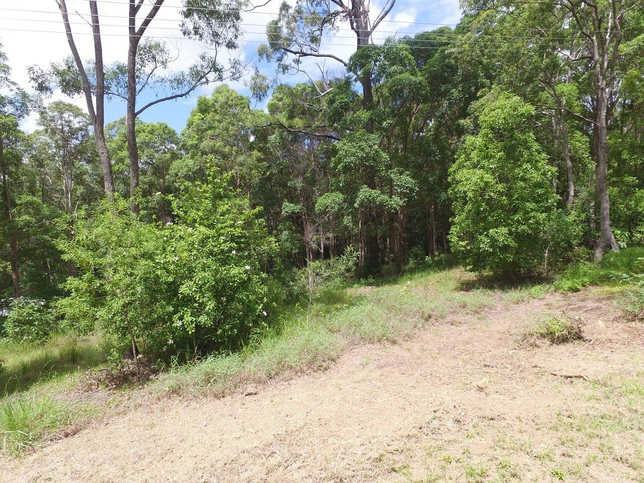 Lot 133 Old Coach Way, Ninderry QLD 4561, Ninderry - Thumbnail 2