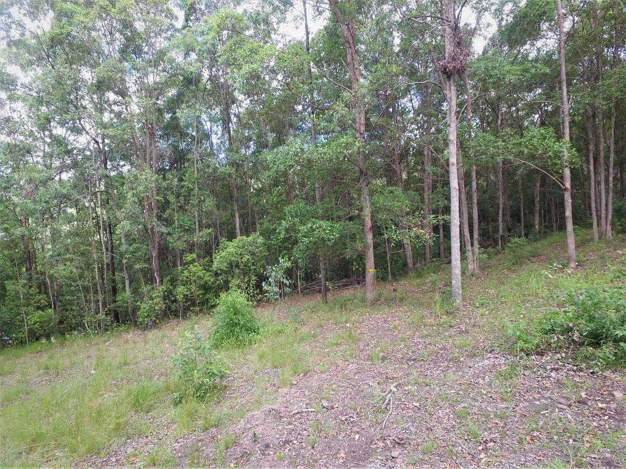 Lot 133 Old Coach Way, Ninderry QLD 4561, Ninderry - Thumbnail 4