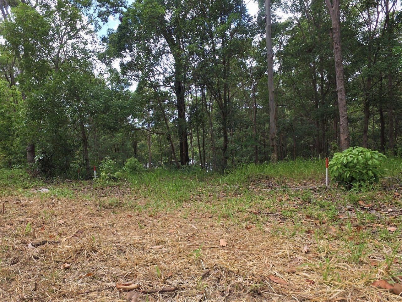 Lot 133 Old Coach Way, Ninderry QLD 4561, Ninderry - Thumbnail 5