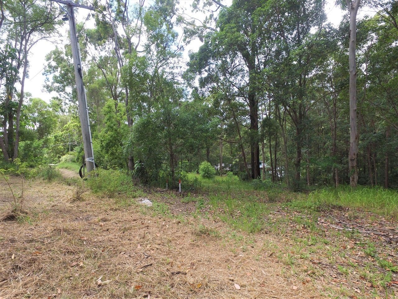 Lot 133 Old Coach Way, Ninderry QLD 4561, Ninderry - Thumbnail 6