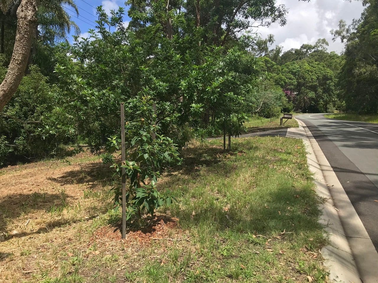 Lot 133 Old Coach Way, Ninderry QLD 4561, Ninderry - Thumbnail 8