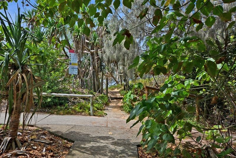 13A Albert Street, Shelly Beach QLD 4551, Shelly Beach - Thumbnail 6