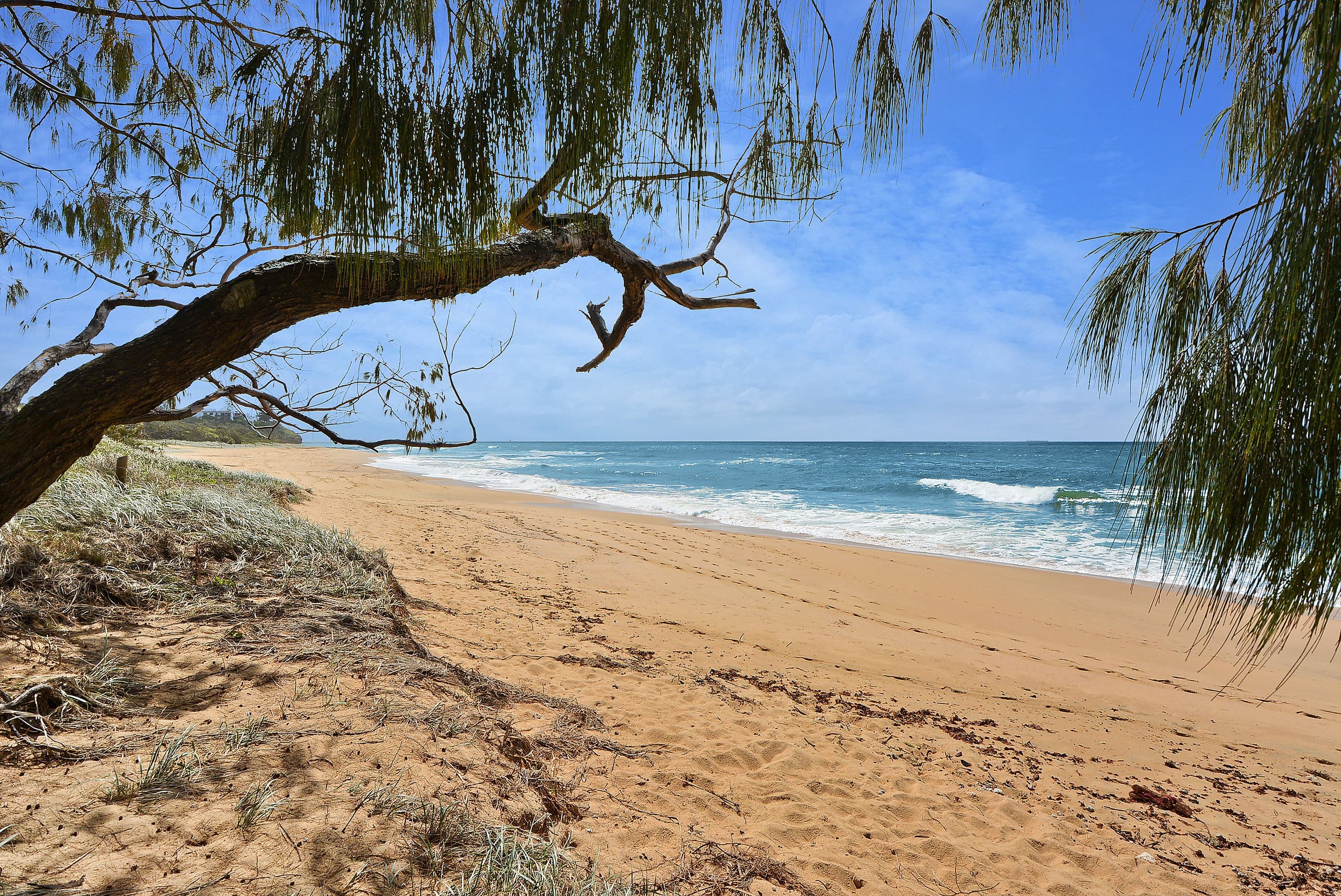 13A Albert Street, Shelly Beach QLD 4551, Shelly Beach - Thumbnail 7