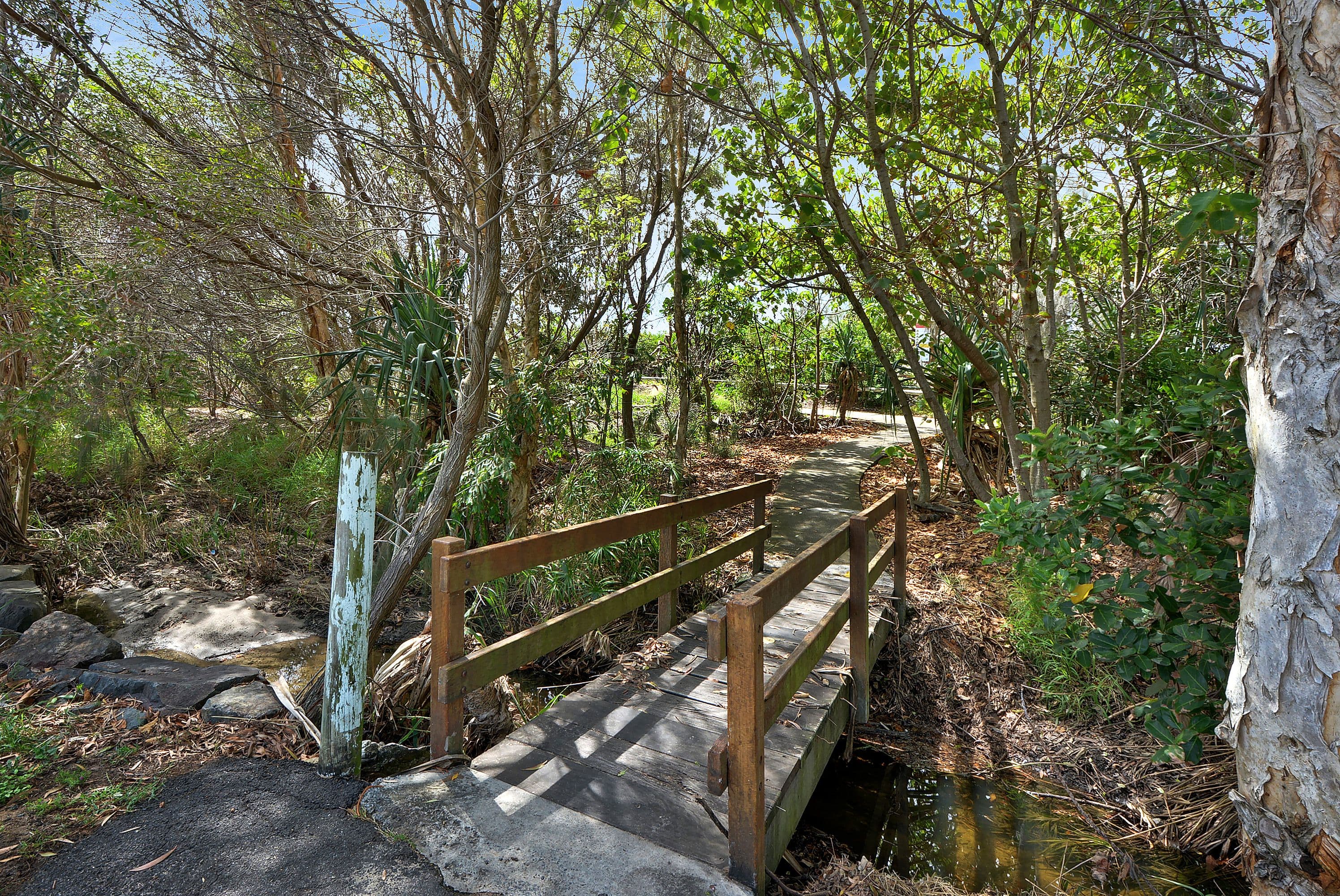 13A Albert Street, Shelly Beach QLD 4551, Shelly Beach - Thumbnail 8