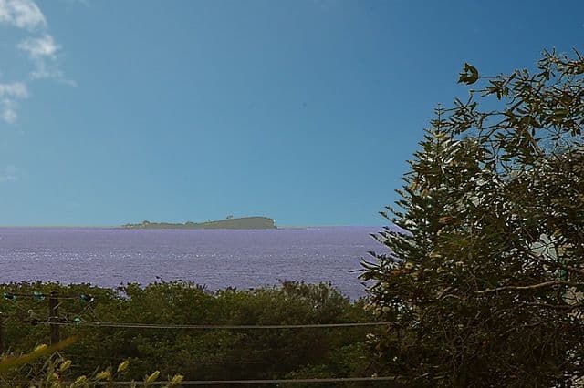 20 Mary Street, ALEXANDRA HEADLAND QLD 4572, Alexandra Headland - Image 1