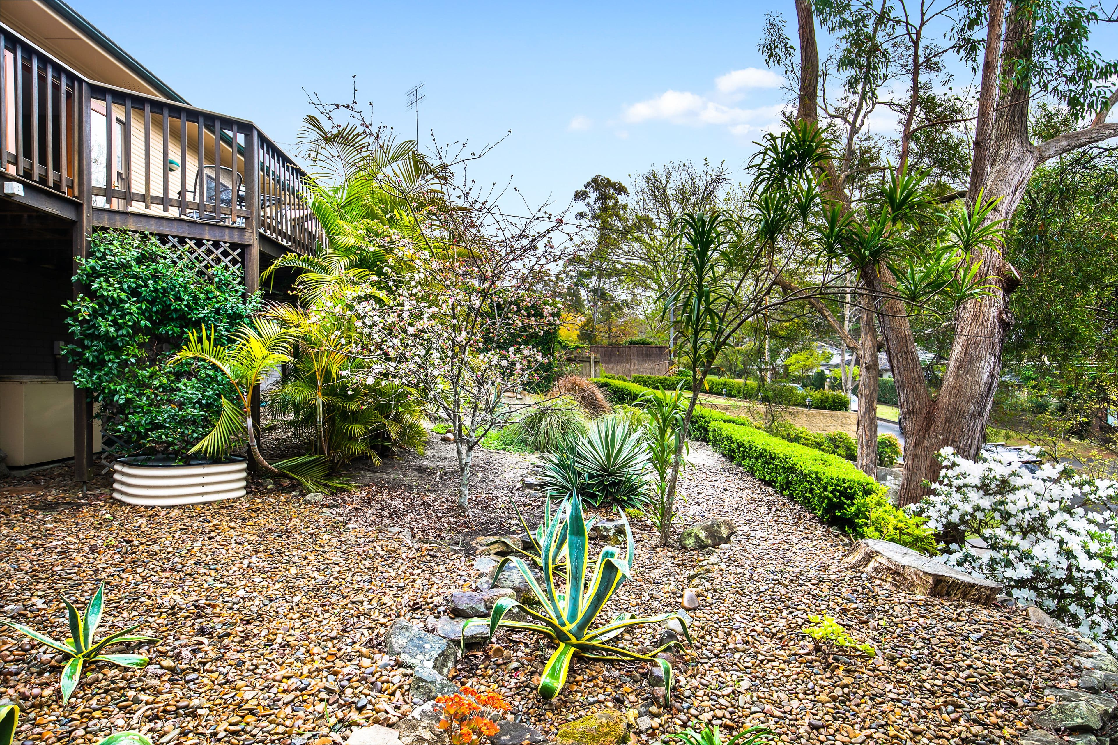 55 Lawson Parade, St Ives NSW 2075, St Ives - Thumbnail 8