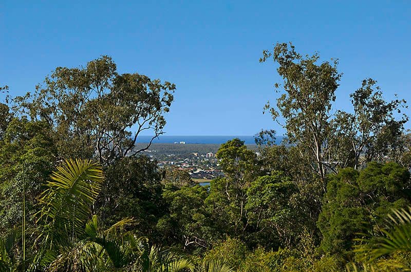 5 Marti Court, BUDERIM QLD 4556, Buderim - Thumbnail 2