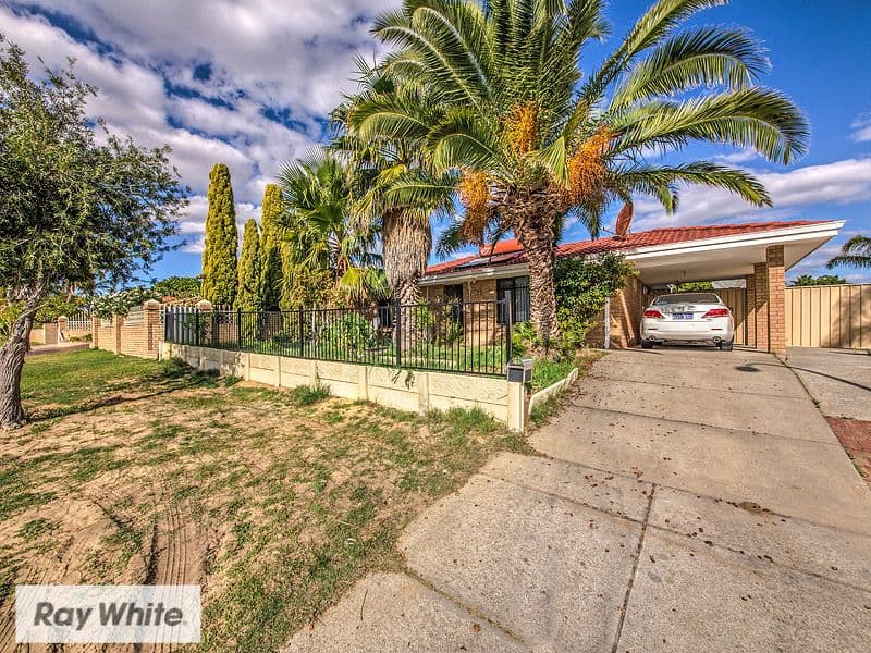 16 Apple Blossom Drive, Mirrabooka WA 6061, Mirrabooka - Image 1