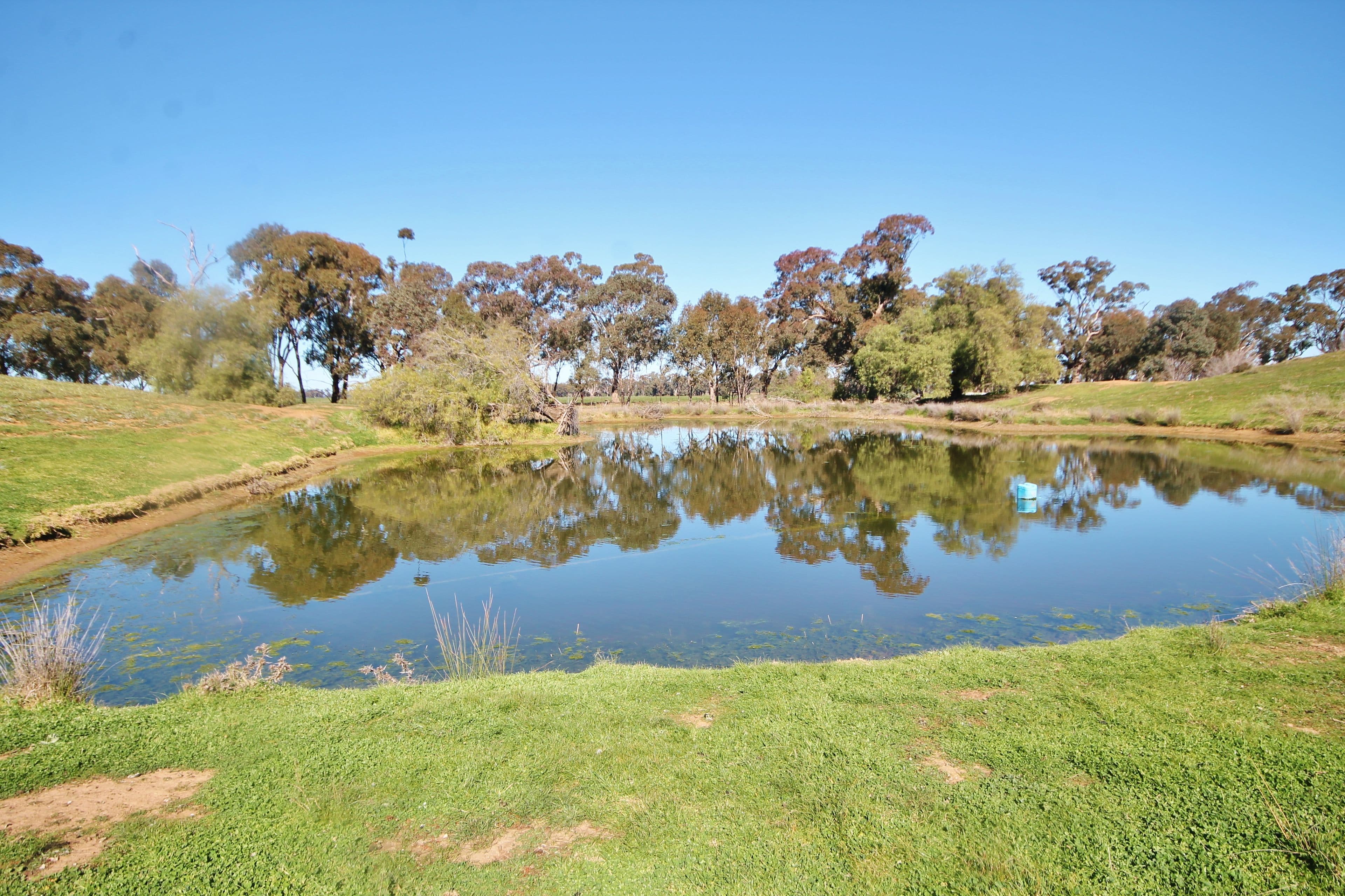 1600 Tubbul Road, Tubbul - Thumbnail 5