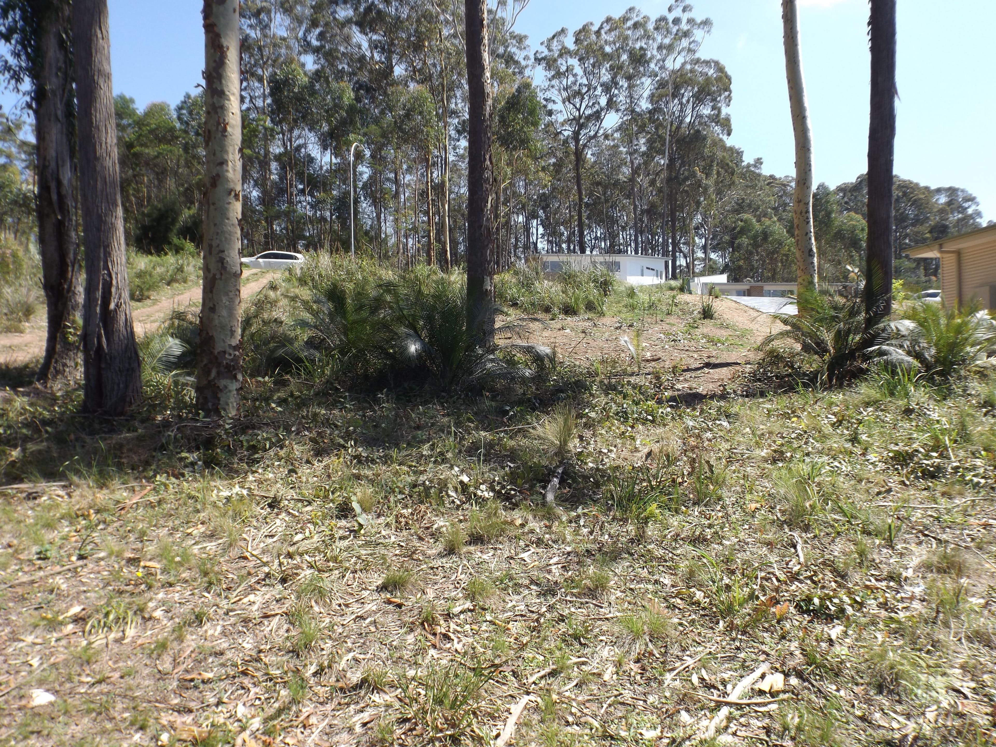 85 Litchfield Crescent, Long Beach NSW 2536, Long Beach - Thumbnail 3