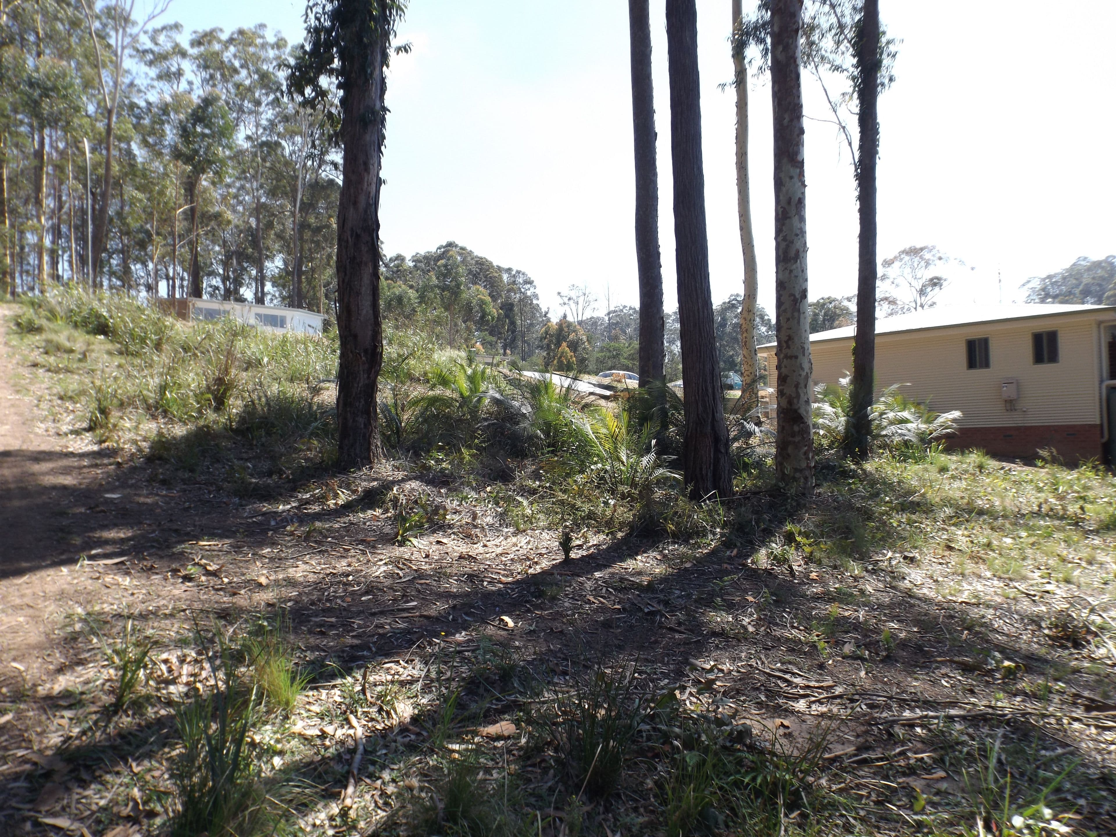 85 Litchfield Crescent, Long Beach NSW 2536, Long Beach - Thumbnail 4