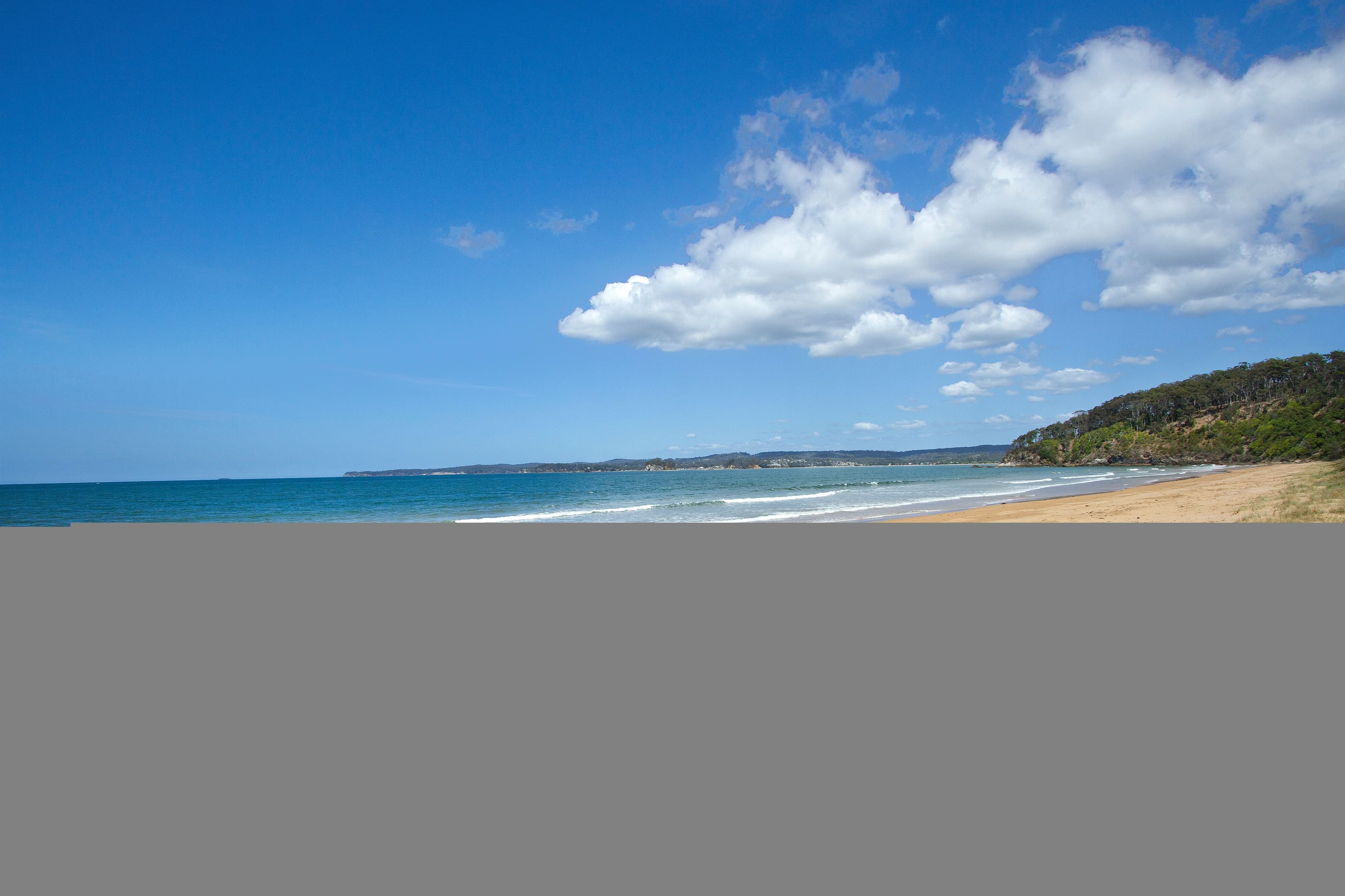 85 Litchfield Crescent, Long Beach NSW 2536, Long Beach - Thumbnail 5