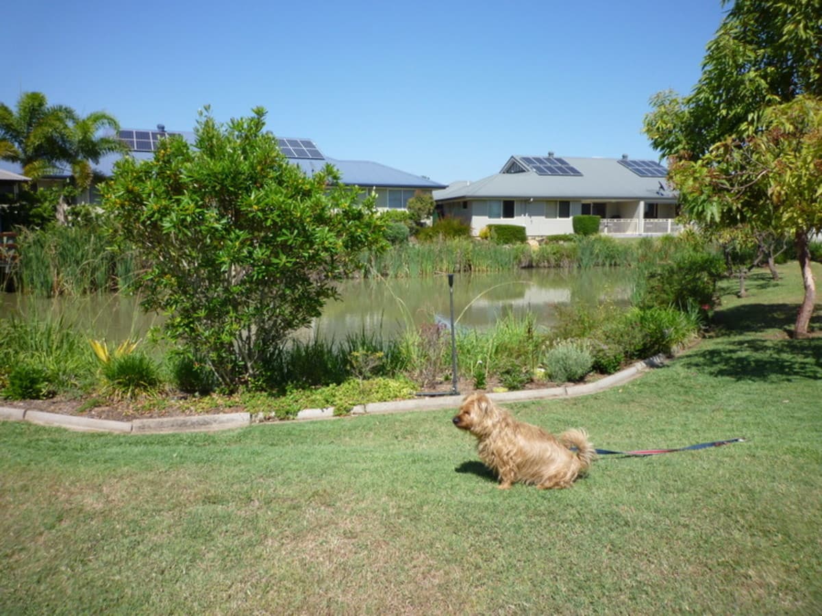 40 / 2 Workshops, Brassall QLD 4305, Brassall - Thumbnail 3