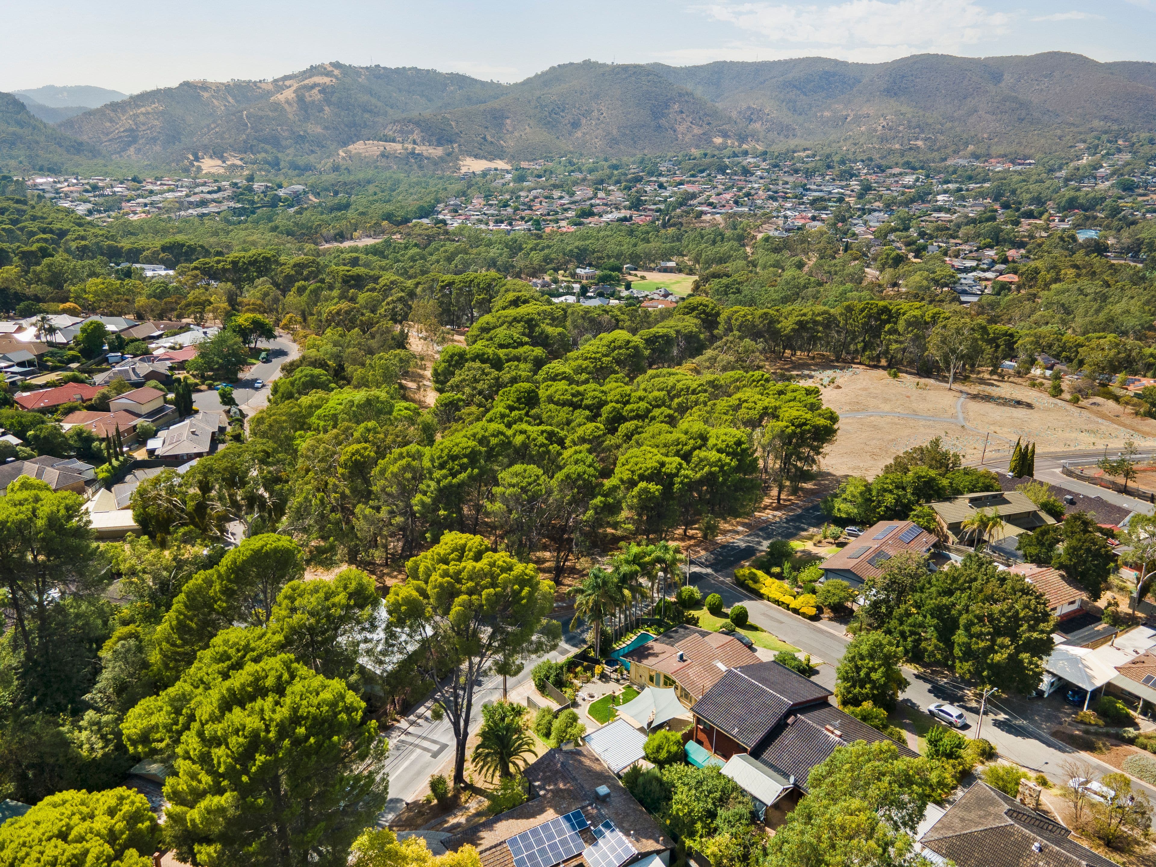 16 Windsor Road, Highbury SA 5089, Highbury - Thumbnail 4