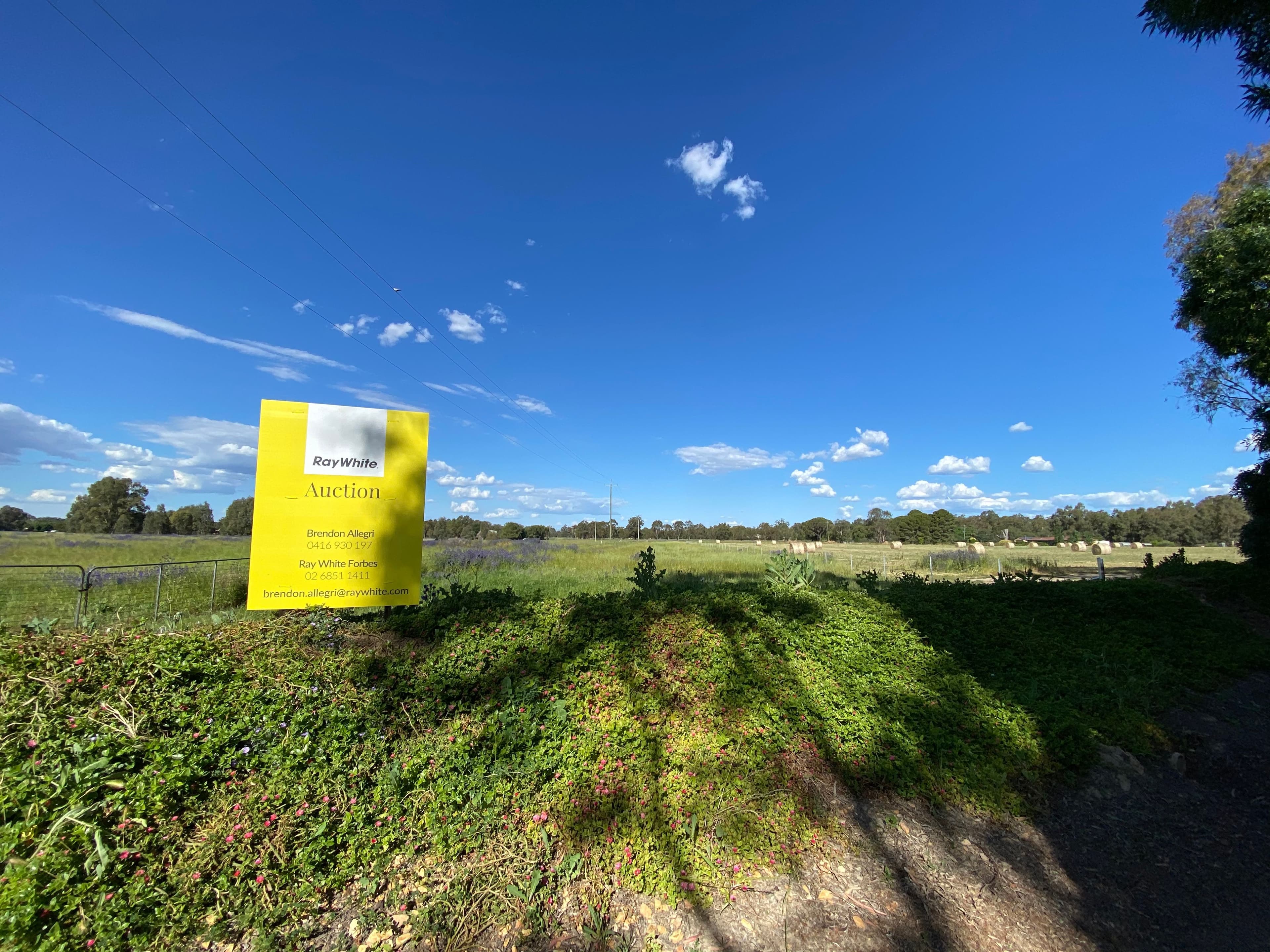 Lot 17 Possum Lane, Forbes NSW 2871, Forbes - Thumbnail 3