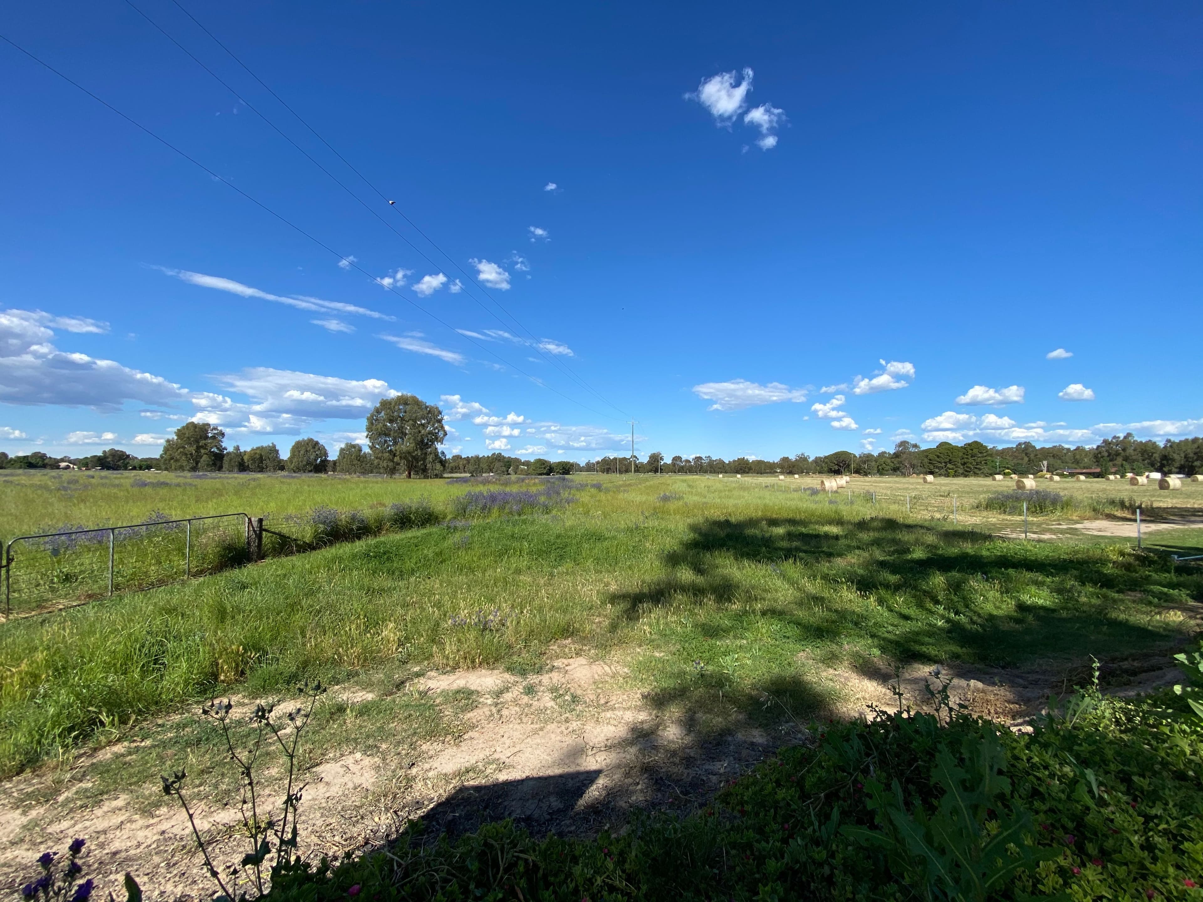 Lot 17 Possum Lane, Forbes NSW 2871, Forbes - Thumbnail 4