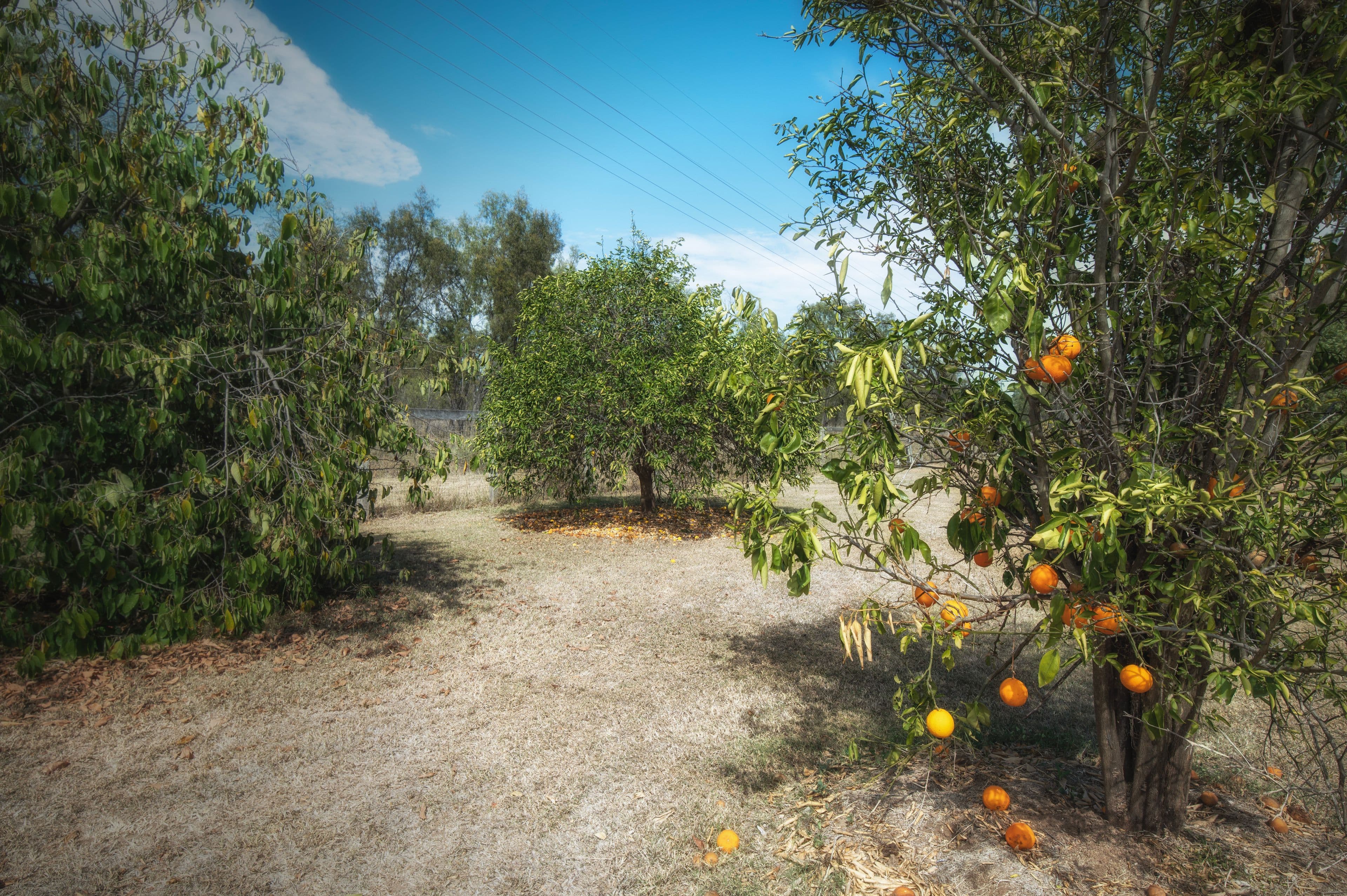 46 Baileys Lane, Valentine Plains QLD 4715, Valentine Plains - Thumbnail 3