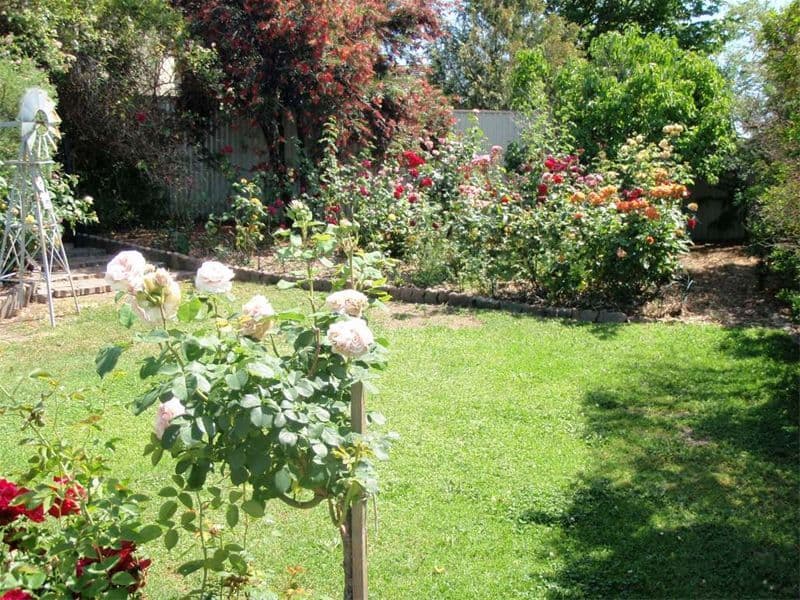 43 Oak Street, SEYMOUR VIC 3660, Seymour - Thumbnail 2