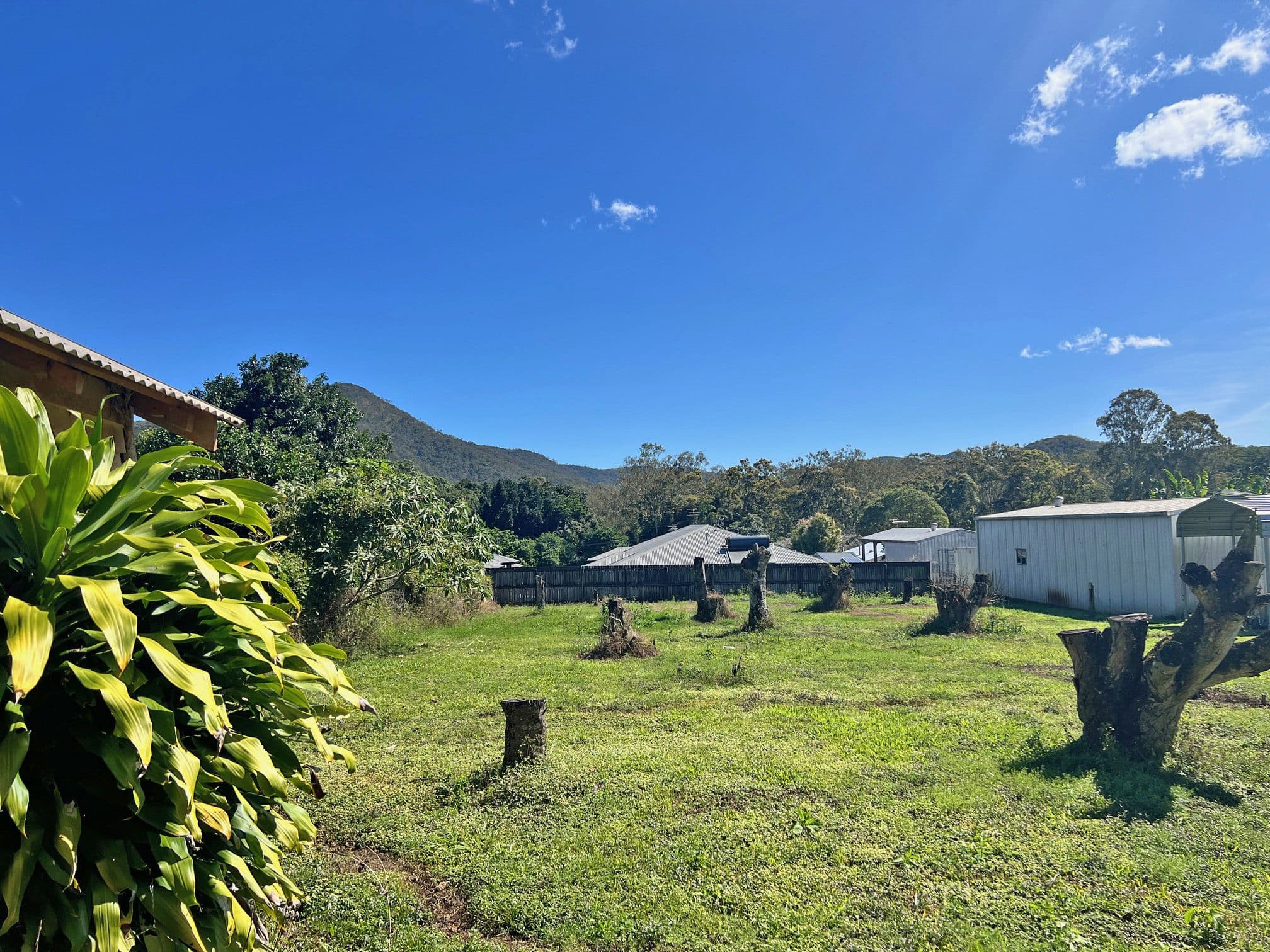 43 Herberton Road, Atherton QLD 4883, Atherton - Thumbnail 2