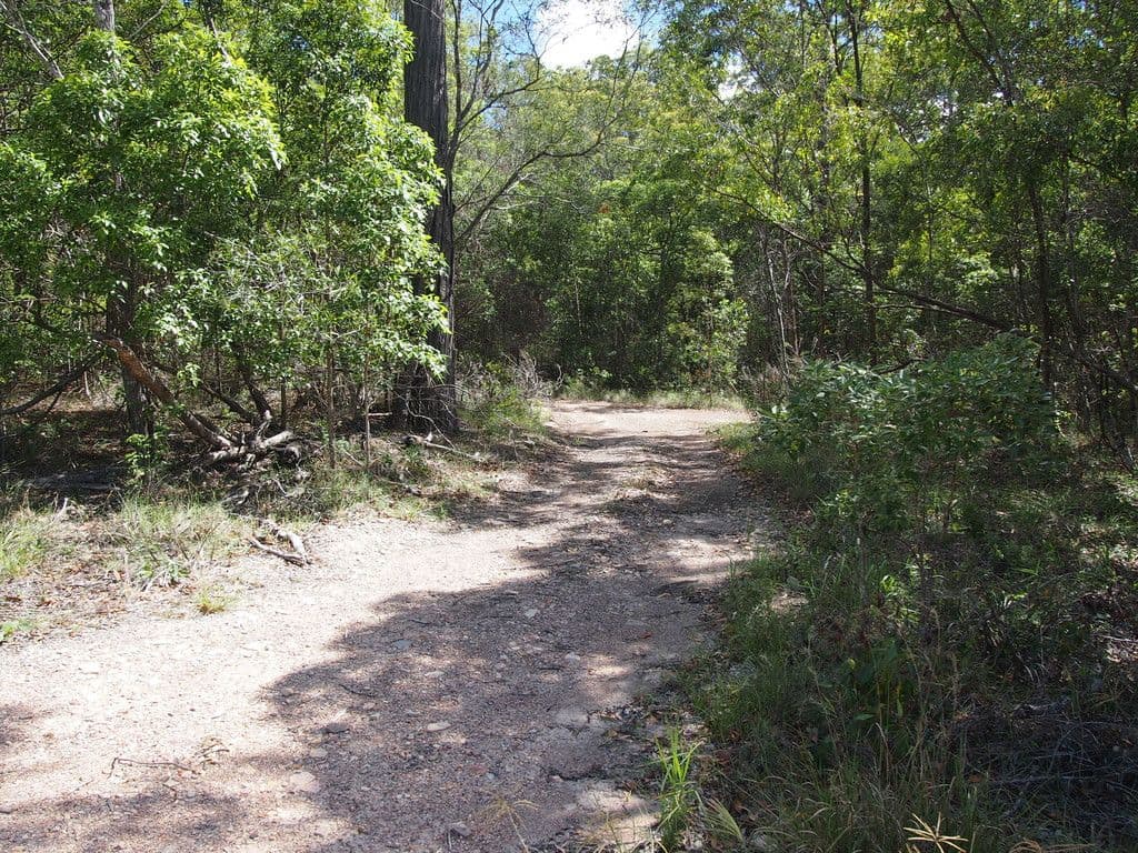 1091 - 1153 Torbanlea Road, Takura QLD 4655, Takura - Thumbnail 2