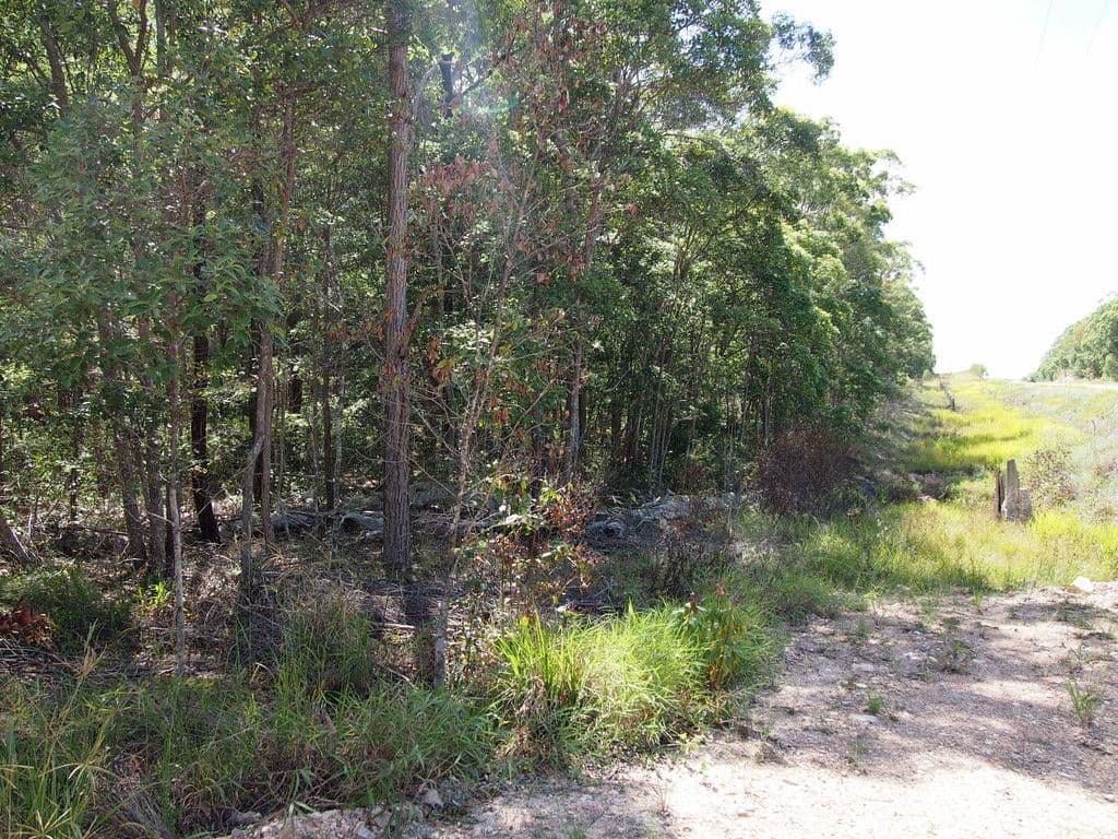 1091 - 1153 Torbanlea Road, Takura QLD 4655, Takura - Thumbnail 3