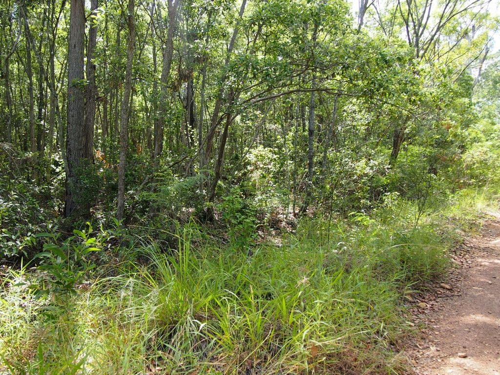 1091 - 1153 Torbanlea Road, Takura QLD 4655, Takura - Thumbnail 7