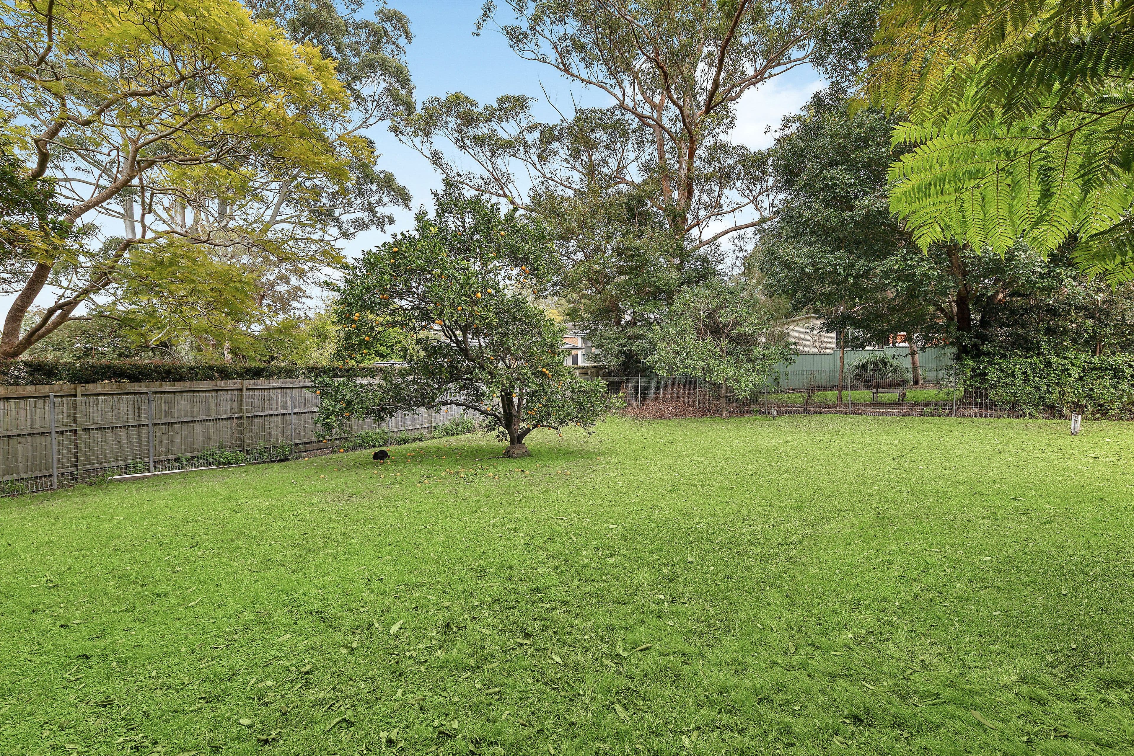 101 Wellington Road, East Lindfield NSW 2070, East Lindfield - Thumbnail 2