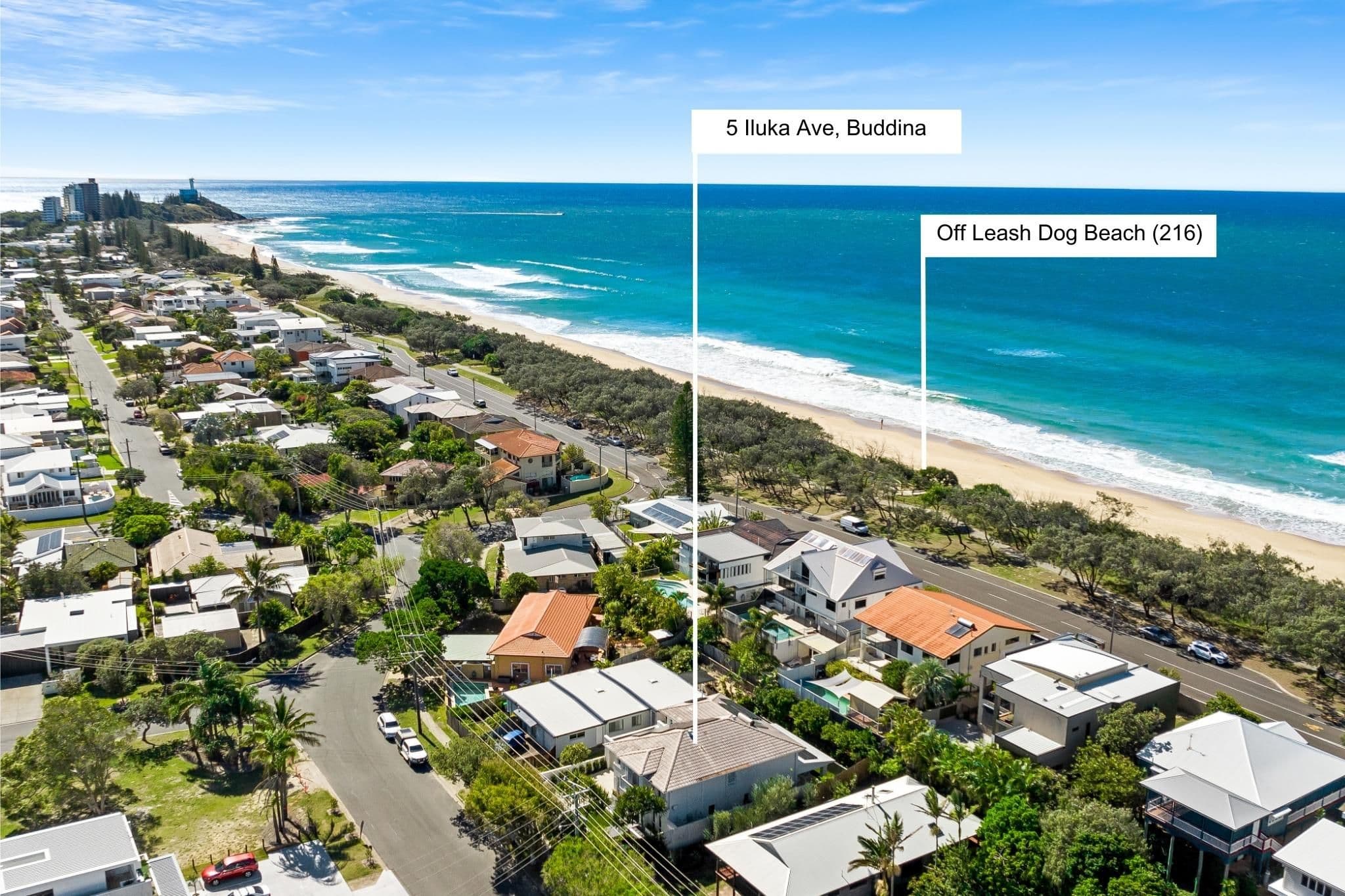 5 Iluka Avenue, Buddina QLD 4575, Buddina - Thumbnail 5