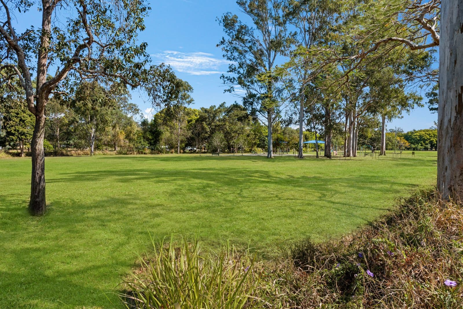 56 Dobell Street, Indooroopilly QLD 4068, Indooroopilly - Thumbnail 4