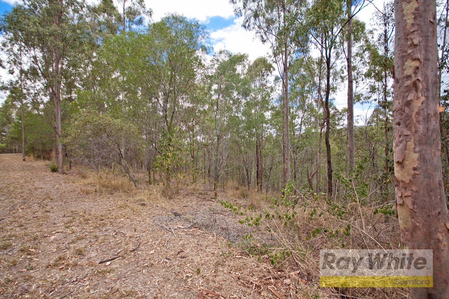 BUNYA QLD 4055, Bunya - Image 1