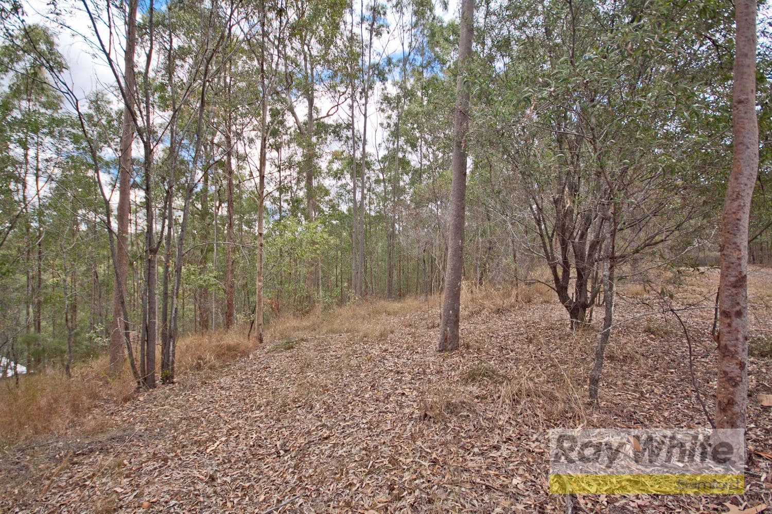 BUNYA QLD 4055, Bunya - Thumbnail 4