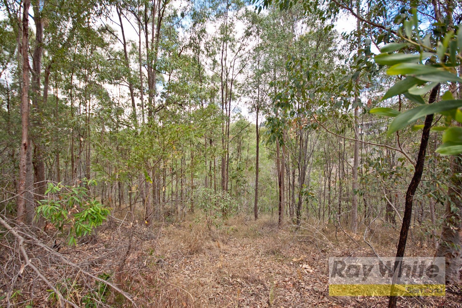 BUNYA QLD 4055, Bunya - Thumbnail 5