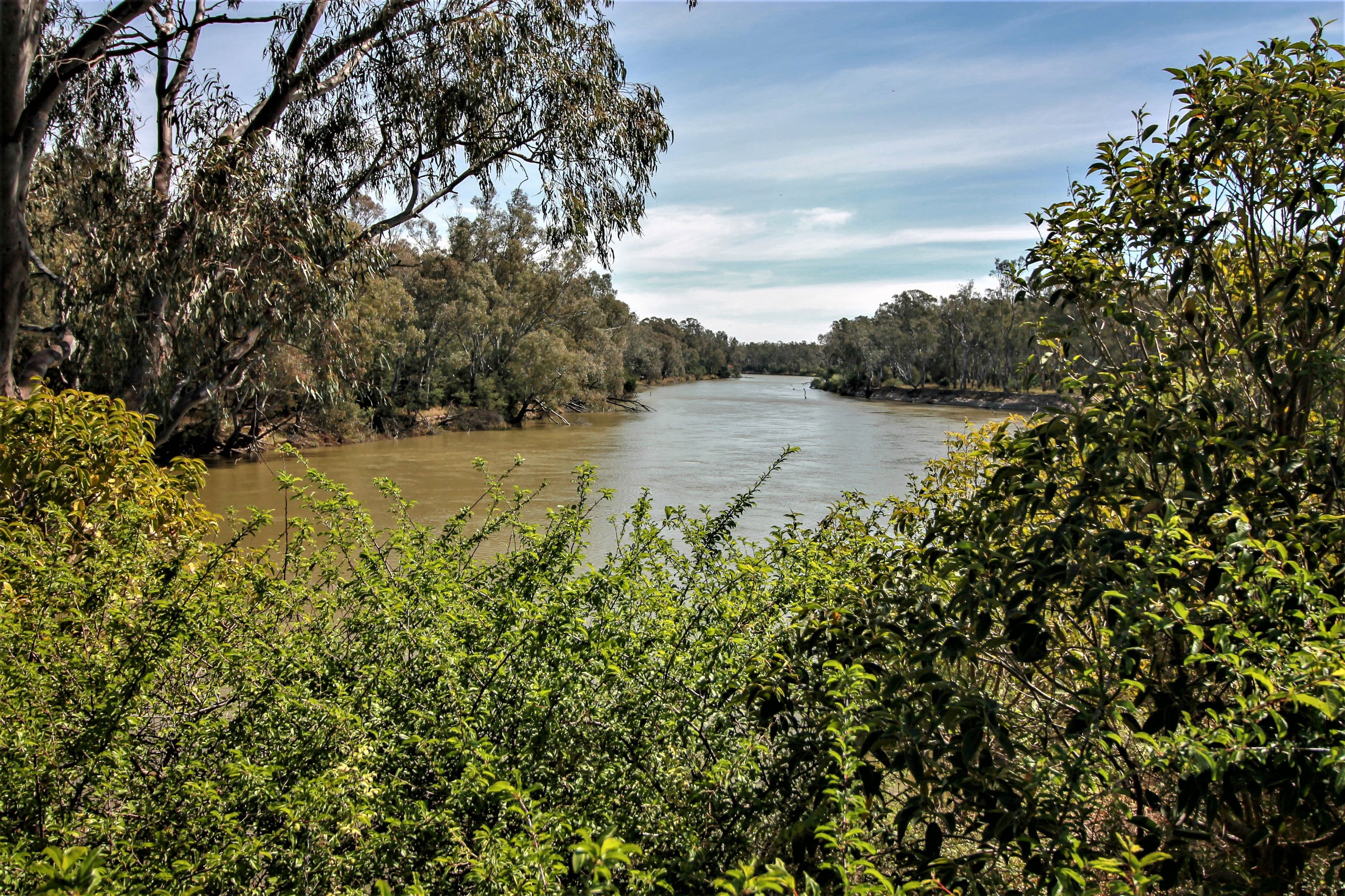 1c River View Court, Barooga NSW 3644, Barooga - Thumbnail 2