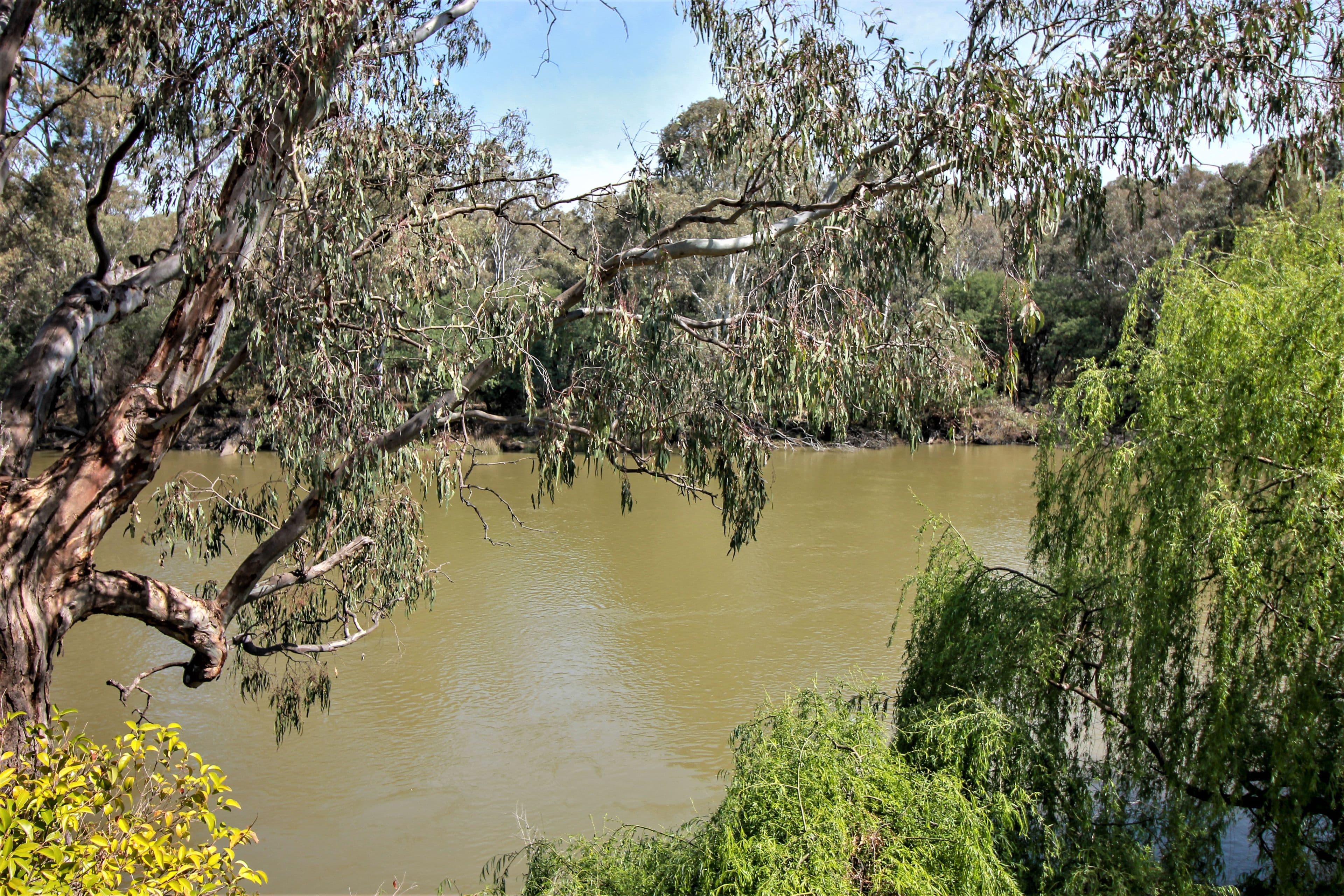 1c River View Court, Barooga NSW 3644, Barooga - Thumbnail 3