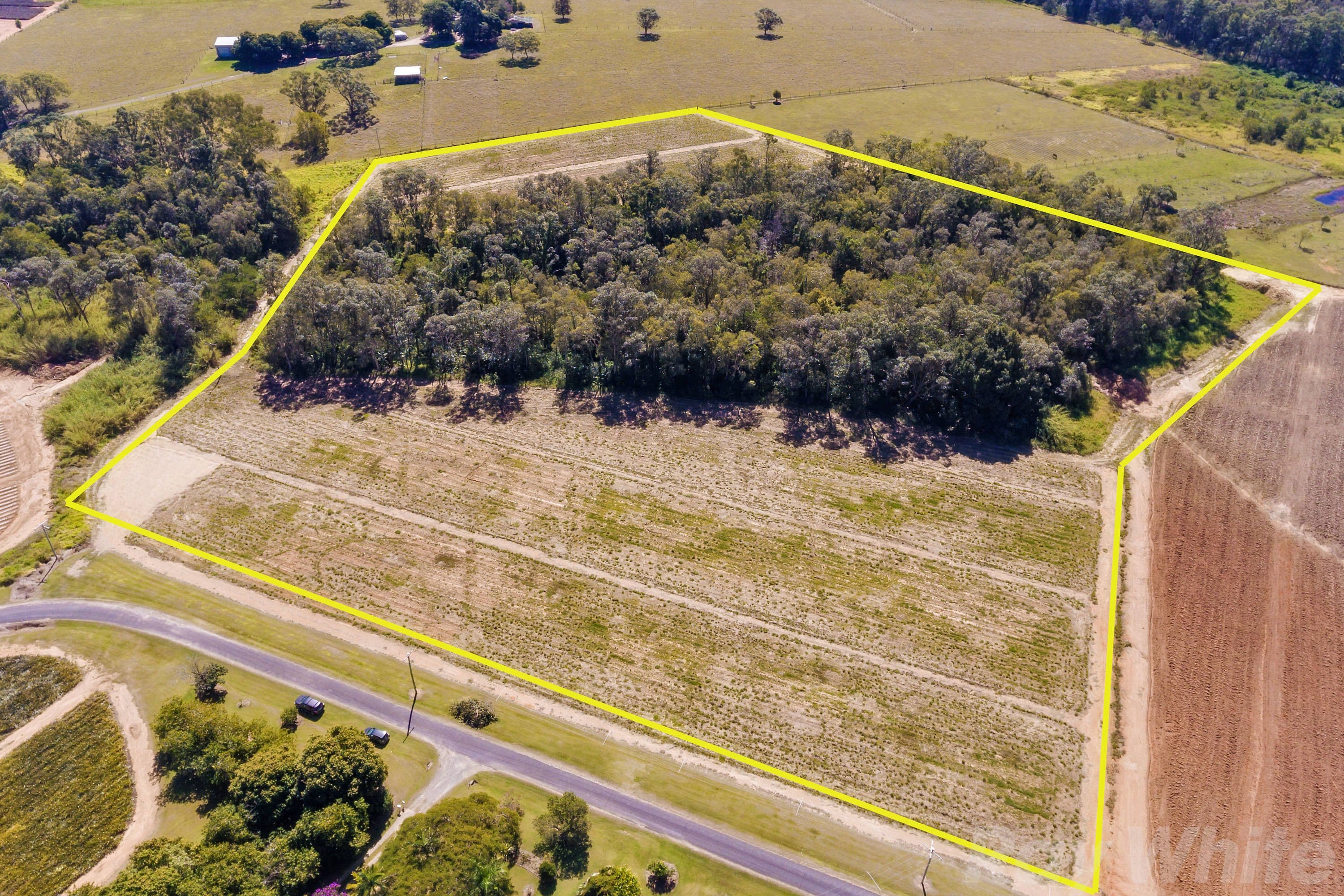 Lot 59 Central Avenue, Wamuran QLD 4512, Wamuran - Thumbnail 3
