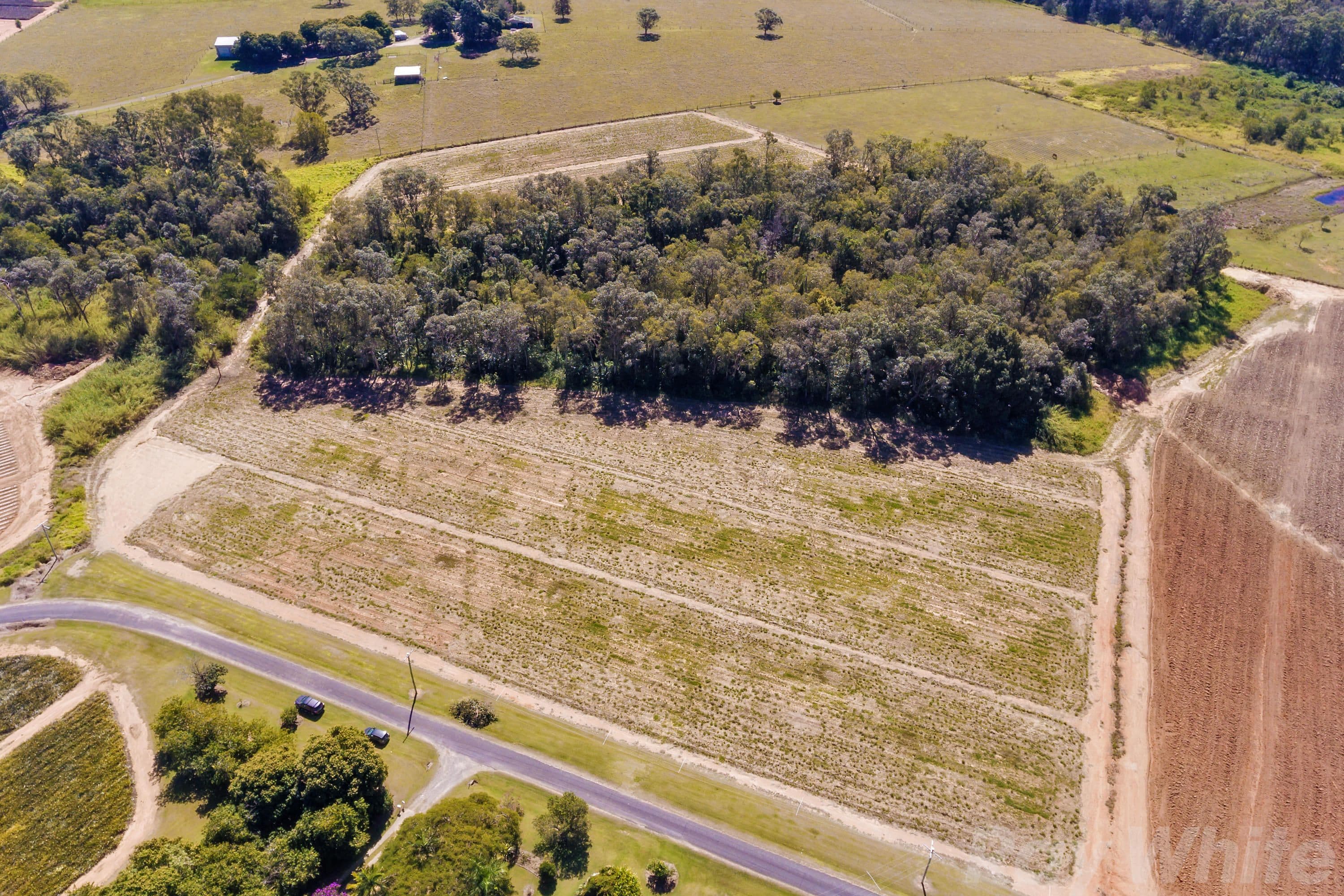 Lot 59 Central Avenue, Wamuran QLD 4512, Wamuran - Thumbnail 6