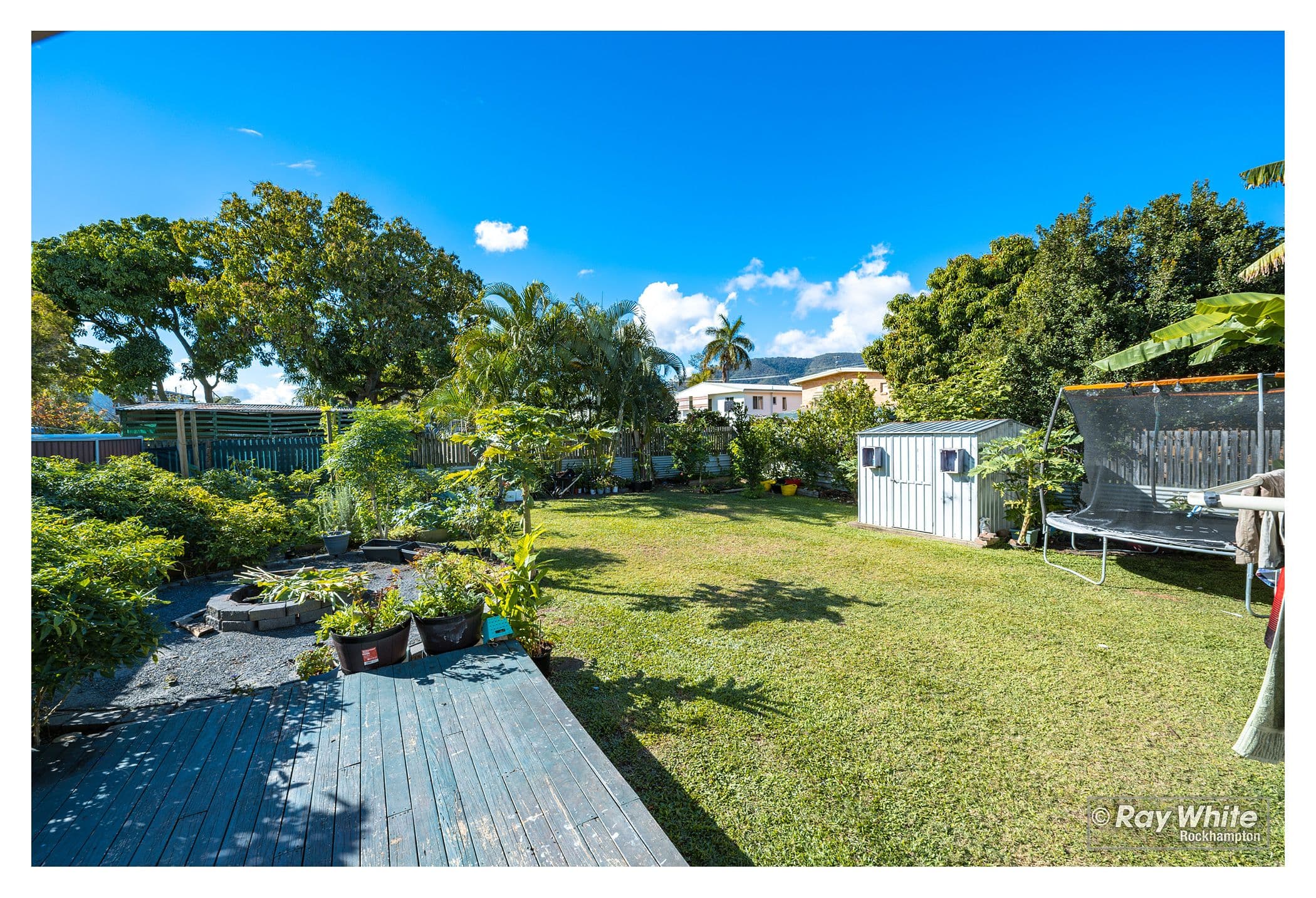 173 Wooster Street, Berserker QLD 4701, Berserker - Thumbnail 4