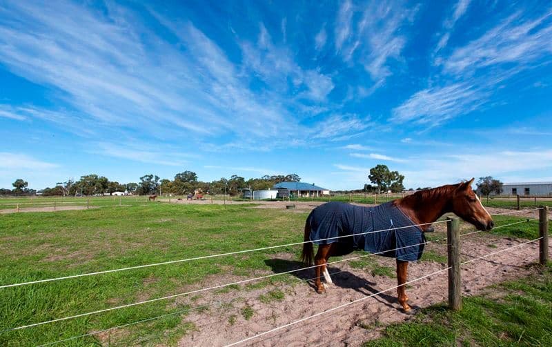 152 Warbrook Road, BULLSBROOK WA 6084, Bullsbrook - Thumbnail 2