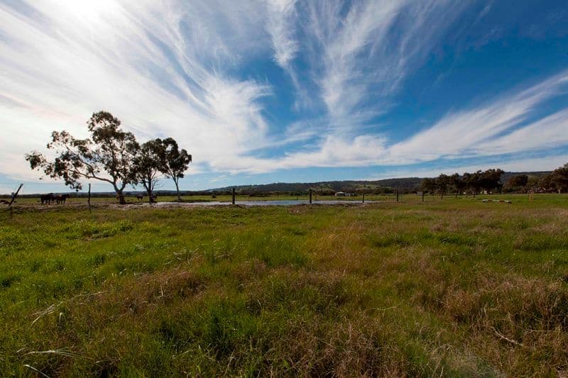 152 Warbrook Road, BULLSBROOK WA 6084, Bullsbrook - Thumbnail 3