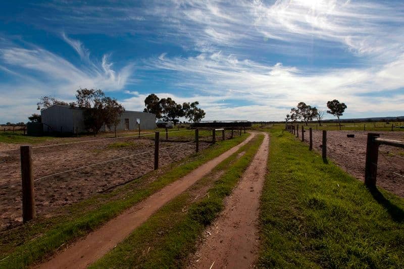 152 Warbrook Road, BULLSBROOK WA 6084, Bullsbrook - Thumbnail 4