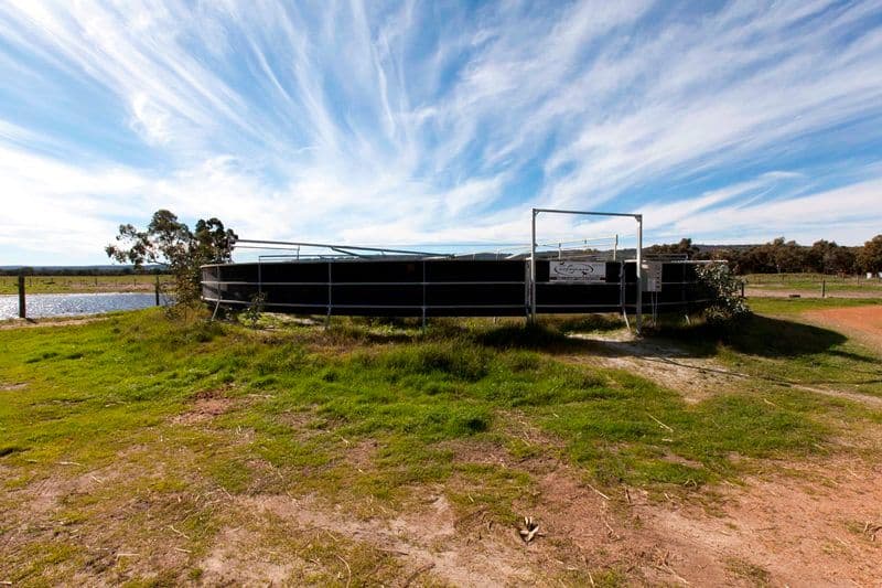 152 Warbrook Road, BULLSBROOK WA 6084, Bullsbrook - Thumbnail 6