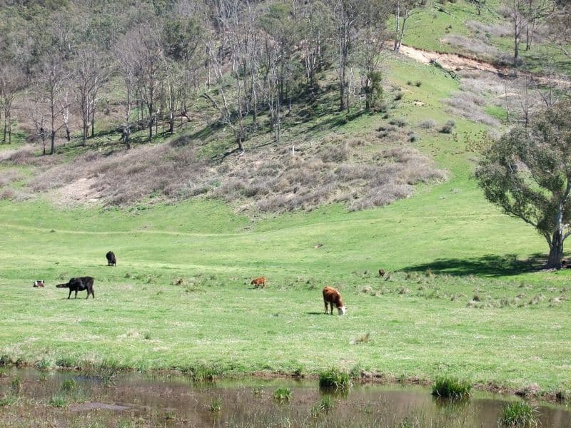 Hartley NSW 2790, Hartley - Thumbnail 2
