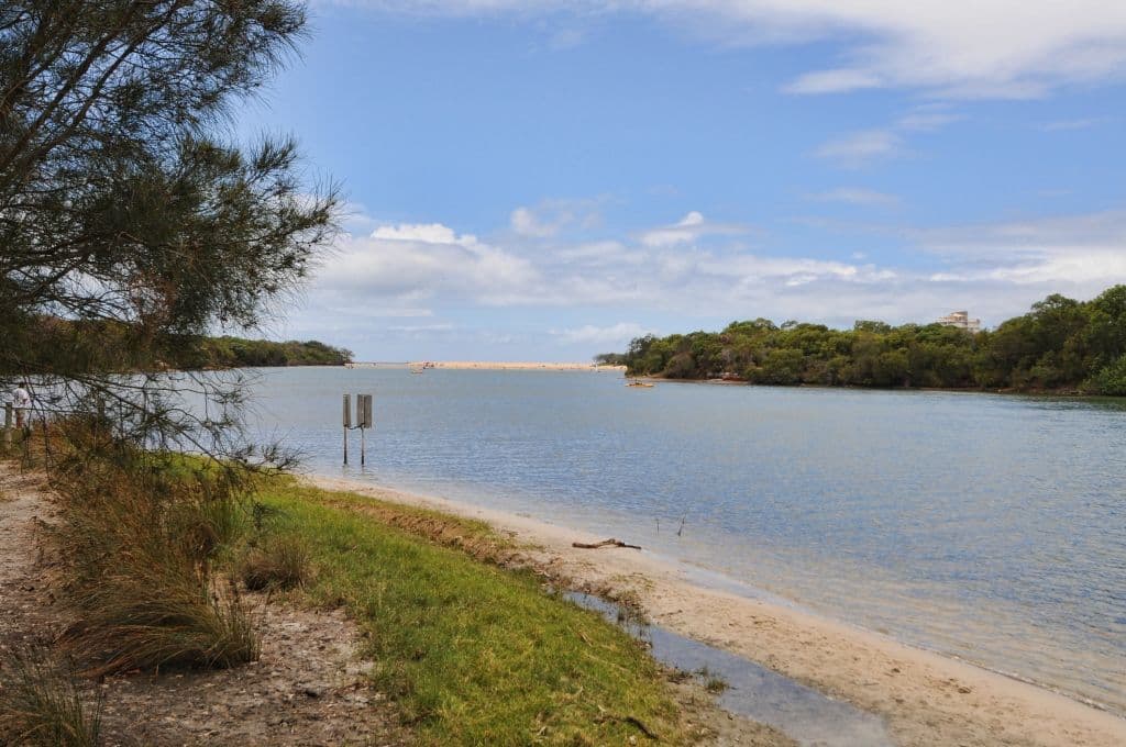 12 Tareel Street, WURTULLA QLD 4575, Wurtulla - Thumbnail 6