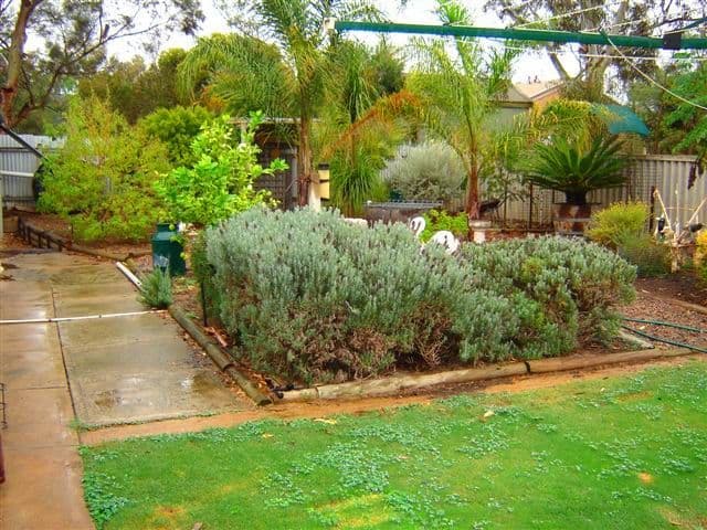 109 Murray Drive, MURRAY BRIDGE SA 5253, Murray Bridge - Thumbnail 5
