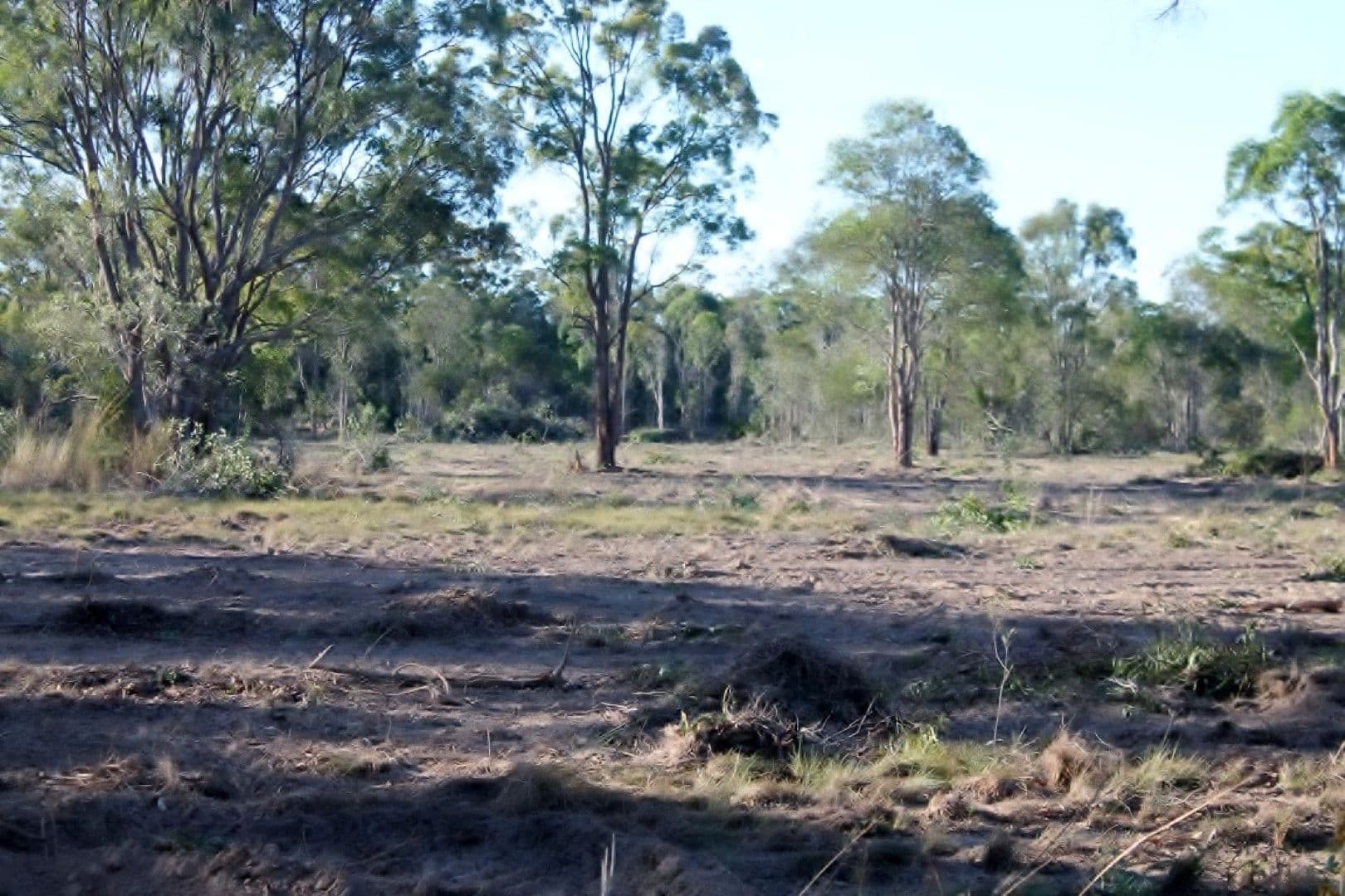 7 Low Street, KENSINGTON QLD 4670, Kensington - Thumbnail 3