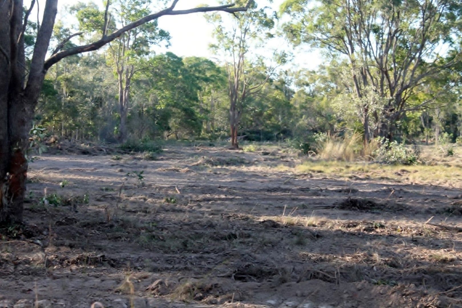 7 Low Street, KENSINGTON QLD 4670, Kensington - Thumbnail 6